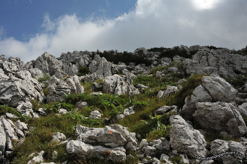 095 Periplo e vetta Monte Alben la Croce.JPG